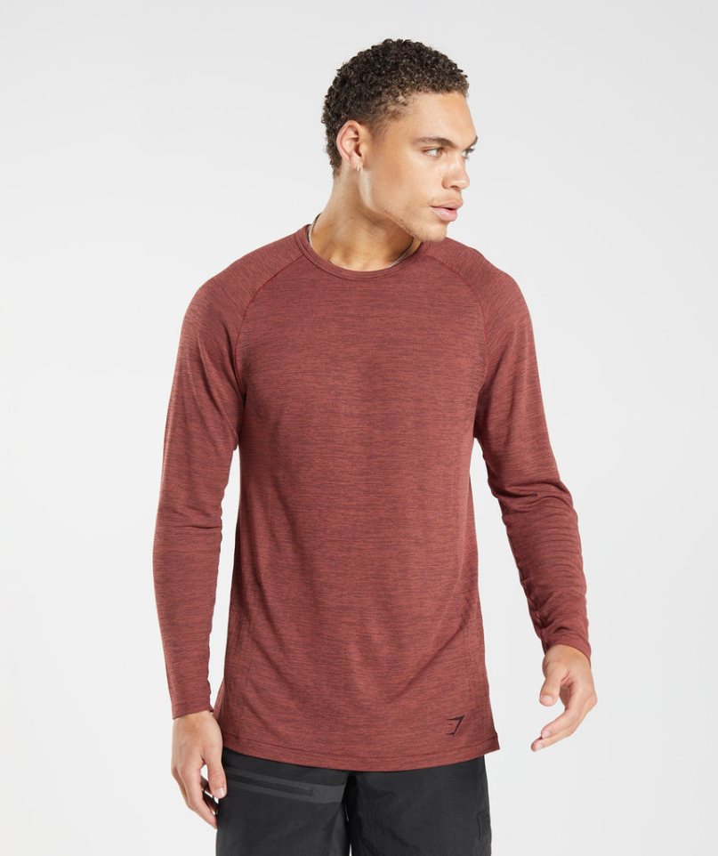 Men\'s Gymshark Retake Seamless Long Sleeve T-Shirts Brown | NZ 9SKBFP